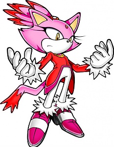 blaze_the_cat_display.jpg