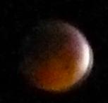 IMG_0663.jpg