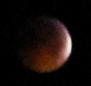 IMG_0665.jpg